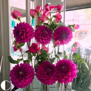 Mothers Day Gift Ideas