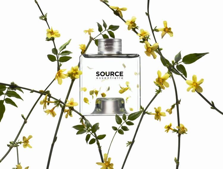 Introducing New Ethical, Sustainable Shampoos & Conditioners
